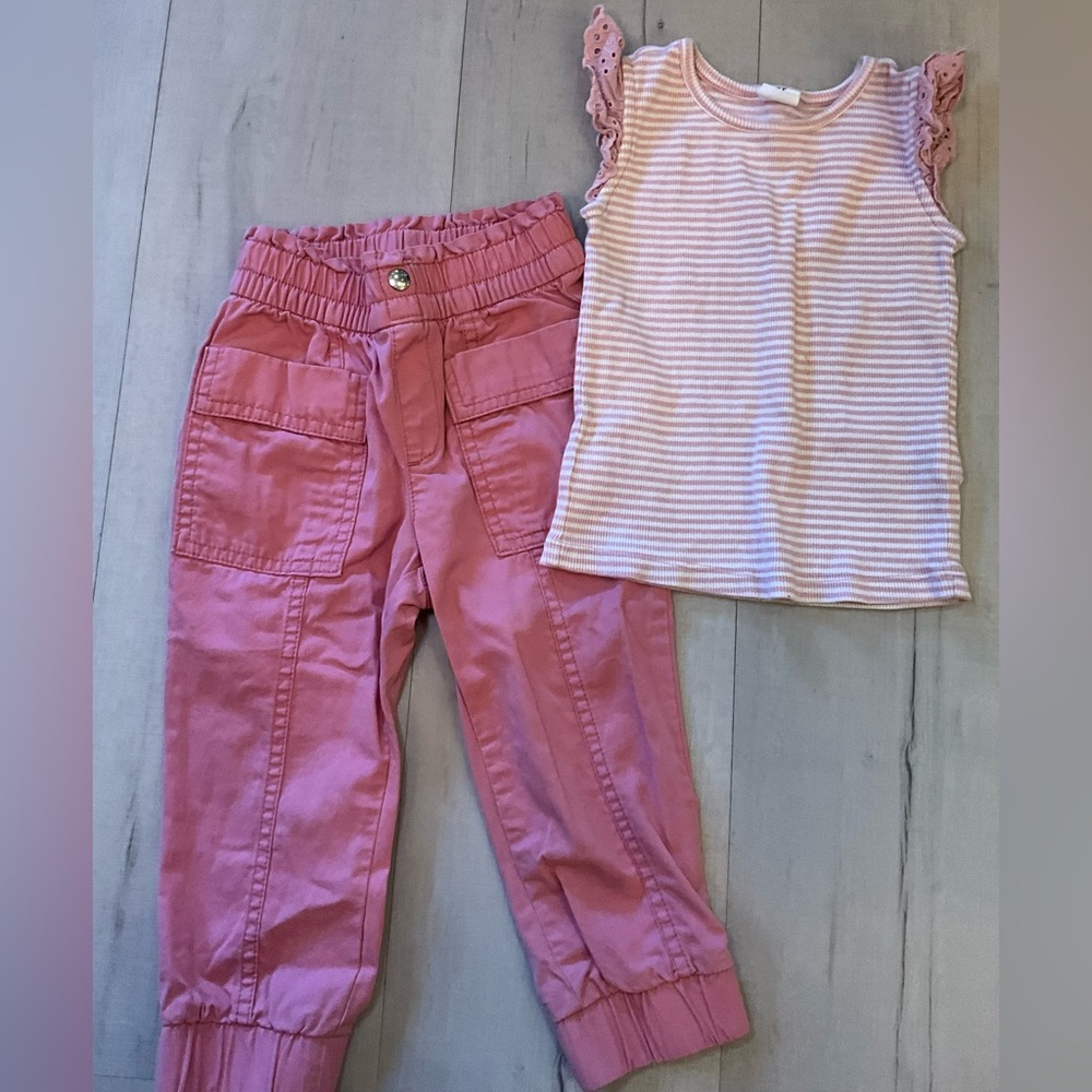 GAP Pink Ruffle Sleeve Top and‎ Jogger Pants Set